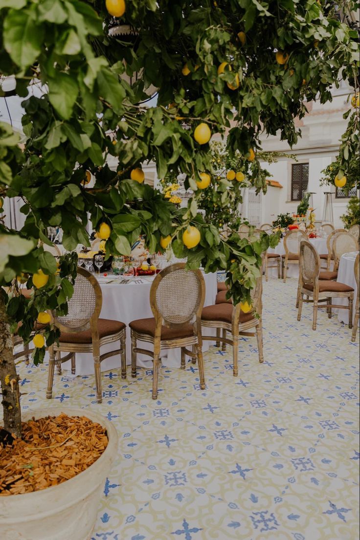 an outdoor dining area with tables and chairs under a tree filled with lemons, surrounded by potted plants