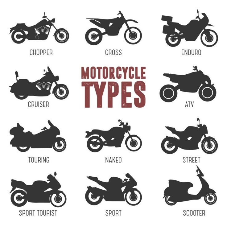 an image of different types of motorcyclists and their names in red text