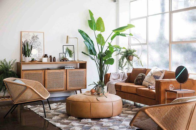 a living room filled with furniture and plants