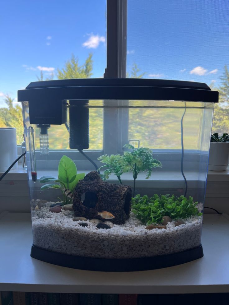 a fish tank filled with plants and rocks on top of a table next to a window