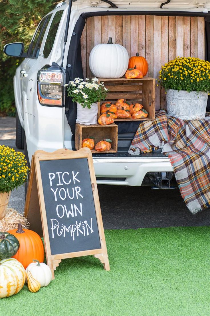 the back of a van with pumpkins and gourds in it