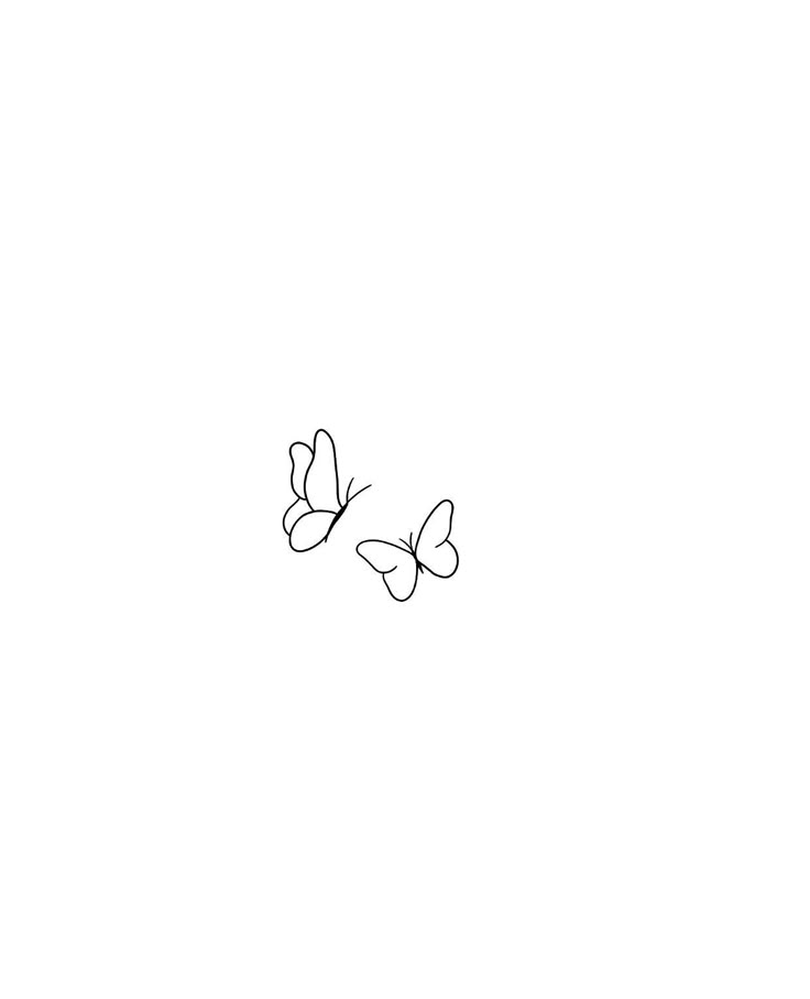 two butterflies flying in the air on a white background