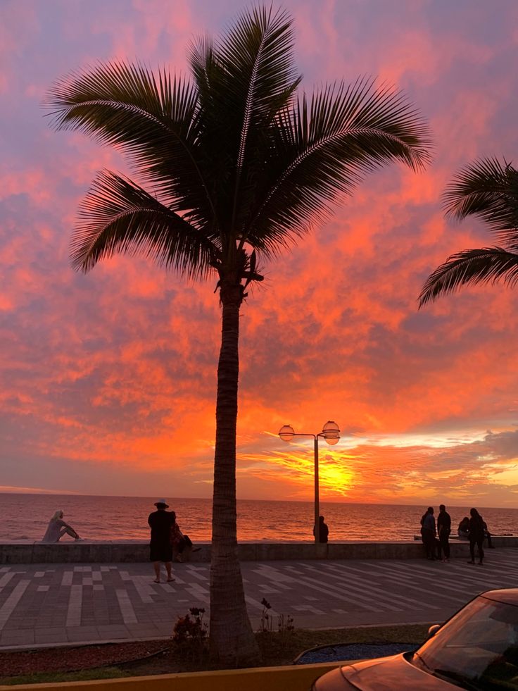 the sun is setting over the ocean with palm trees and people walking on the sidewalk