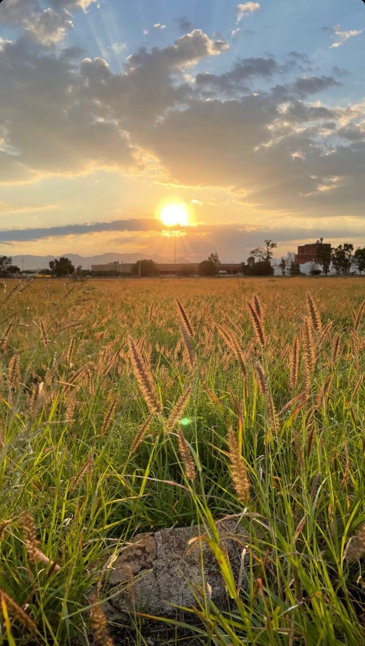 the sun is setting over an open field