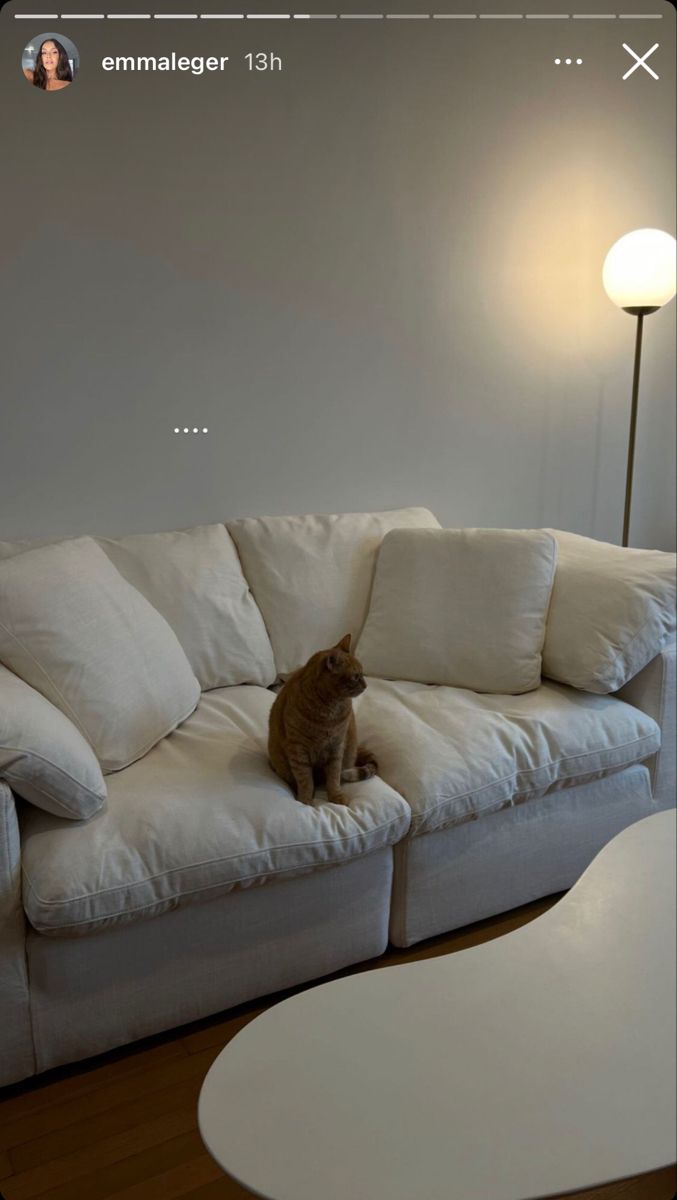 a cat sitting on top of a white couch in a living room next to a lamp