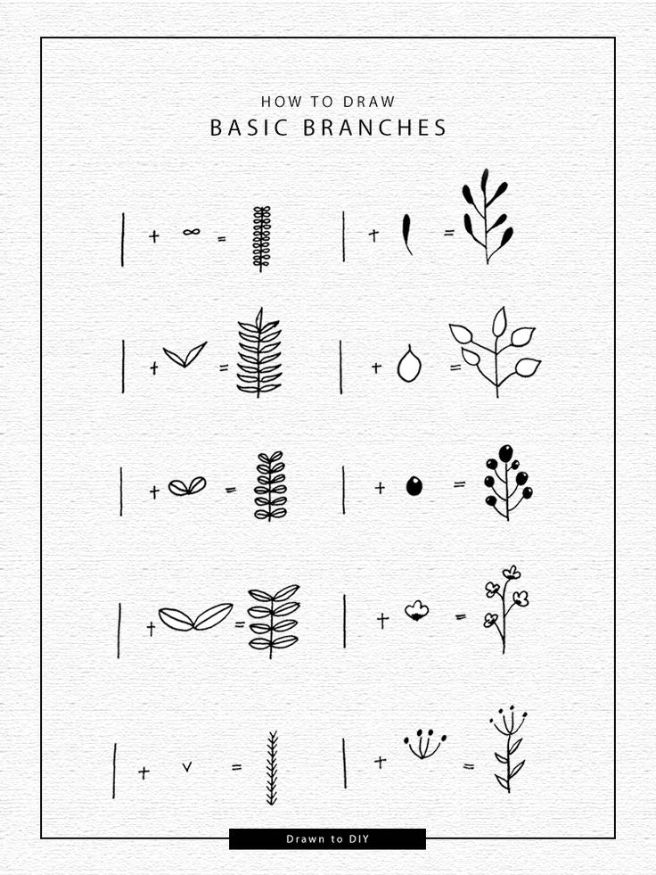 how to draw basic branches in adobe, photoshopped and inked on paper