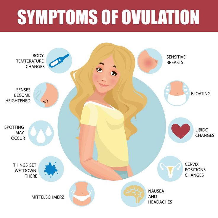 a woman with different types of ovulation