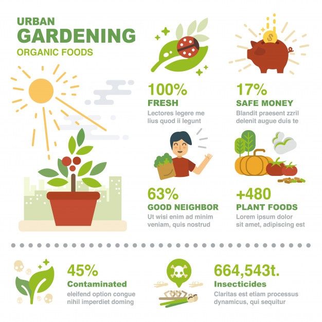 an info poster showing the benefits of organic food and how to use it for gardening