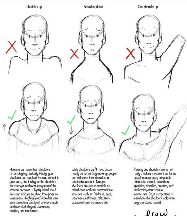 how to draw an anime man's head and shoulders in 3 easy steps step by step