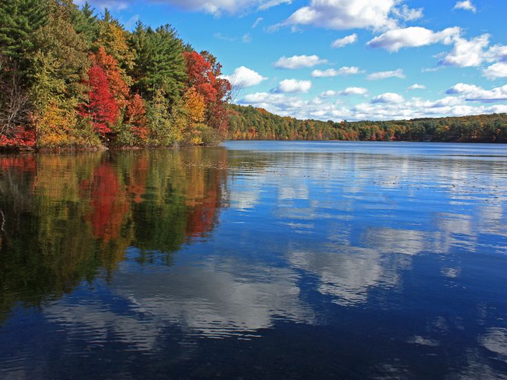 a lake surrounded by lots of trees with fall foliage on the shore and clouds in the sky