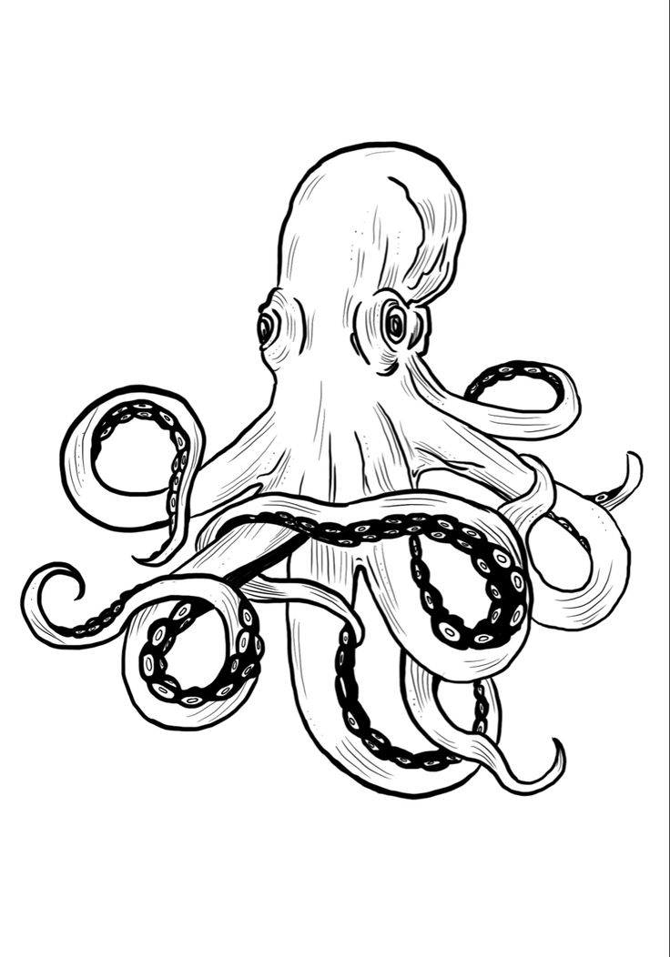 an octopus is swimming in the ocean coloring pages for adults and children to print out