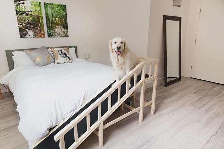 a white dog standing on top of a bed next to a wooden hand rail in a bedroom