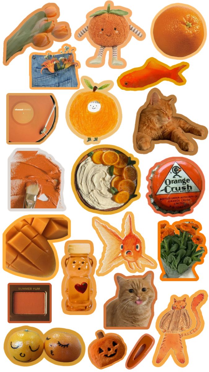 an assortment of oranges, cookies and other items are arranged in the shape of animals