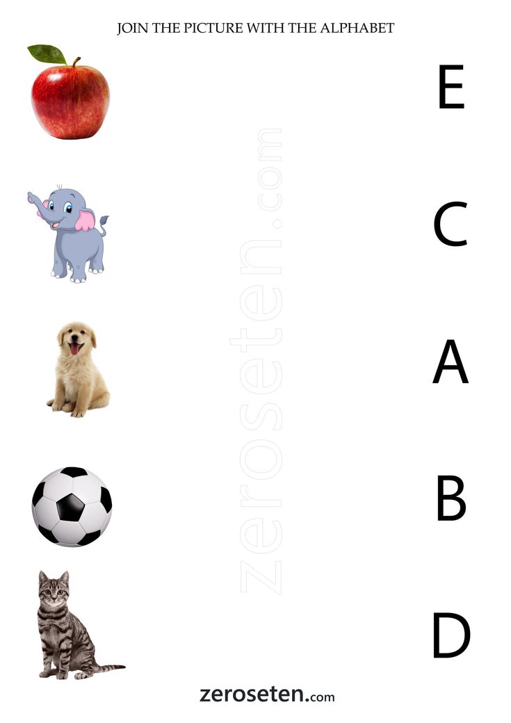 the letter e is for elephant, an apple, and a soccer ball with pictures of animals on it