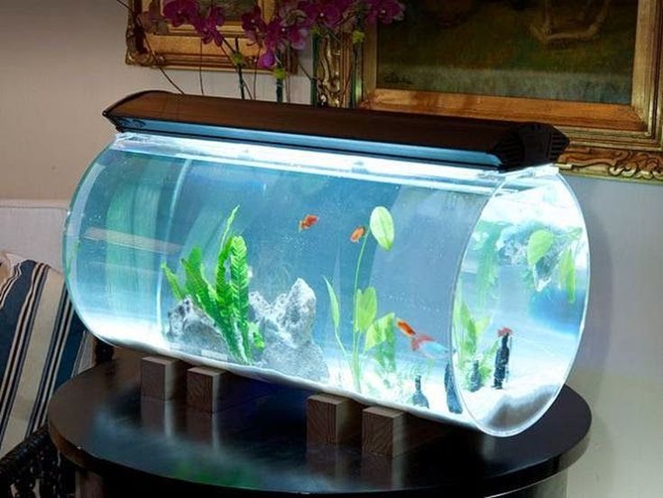 a fish tank is sitting on top of a table