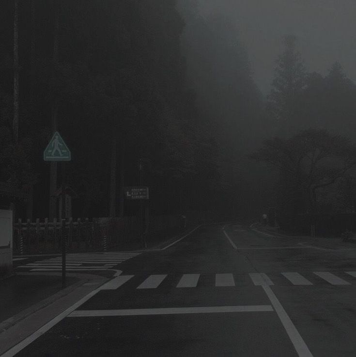 an empty street in the middle of a foggy day with trees on both sides