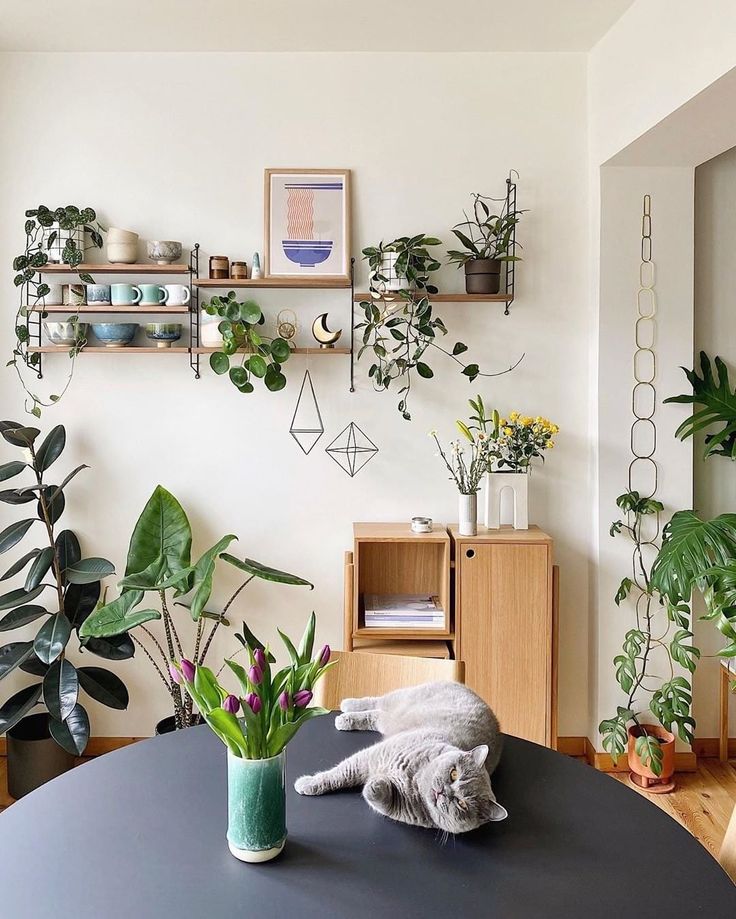 a cat laying on top of a black table next to potted plants in a living room