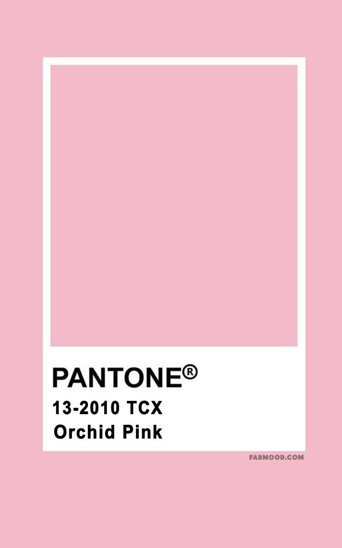 pantone's pink color is shown in this image