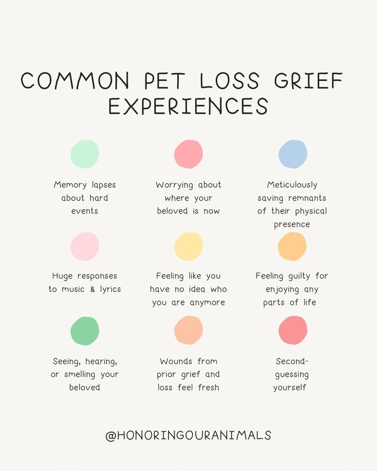 a poster with the words common pet losss in different colors and font on it