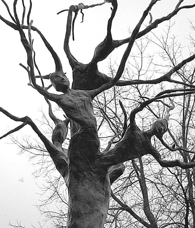 black and white photograph of an old tree with no leaves