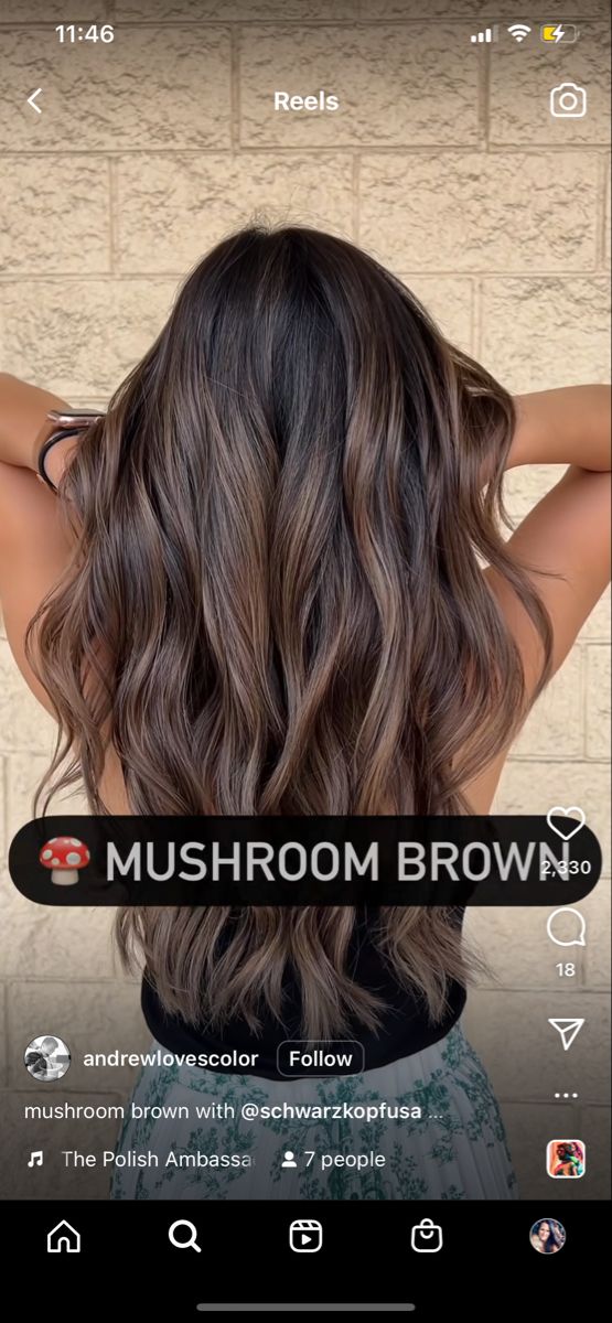 Brunette Balayage Hair Hazel Eyes, Low Maintenance Dark Balayage, Pretty Brown Hair Colors Fall, Medium Length Winter Hair Color, Hair Color Dimension Brunettes, All Brunette Hair Color, Long Brunette Hair With Face Framing, Brunette Partial Highlights Caramel, Fair Skin Balayage Brunettes