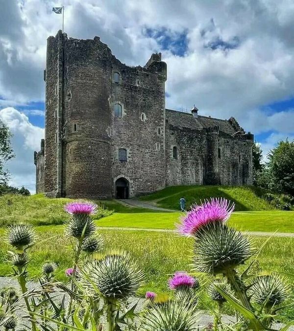 an old castle sitting on top of a lush green field with purple flowers in the foreground