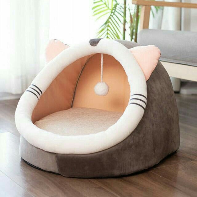 a cat bed that is on the floor