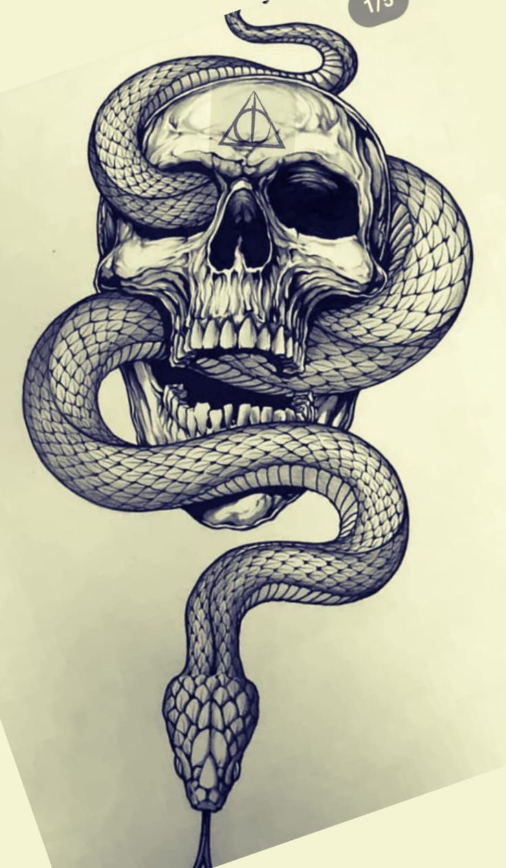 a drawing of a skull with a snake wrapped around it's neck and head