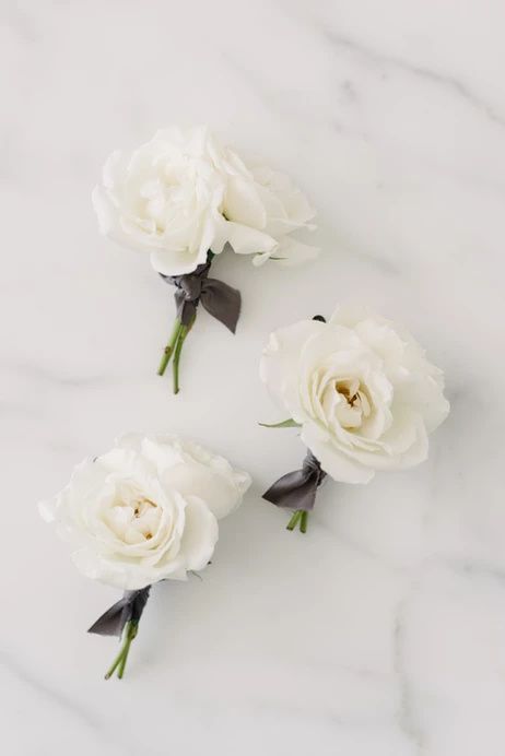 three white flowers sitting on top of a marble counter next to each other and one flower in the middle