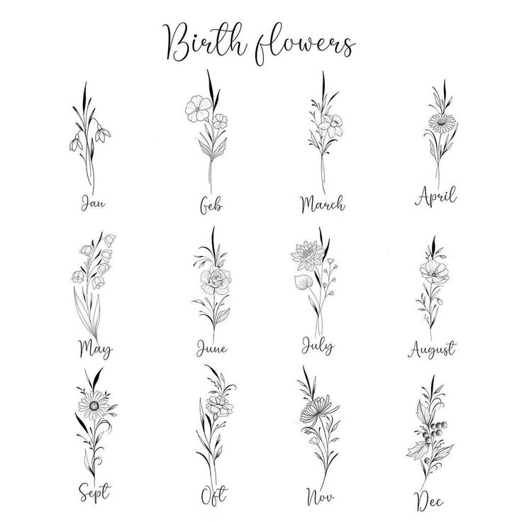 the birth flowers are shown in black and white, with different names on each flower