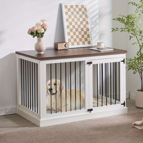 a dog in a cage next to a potted plant and framed photograph on the wall