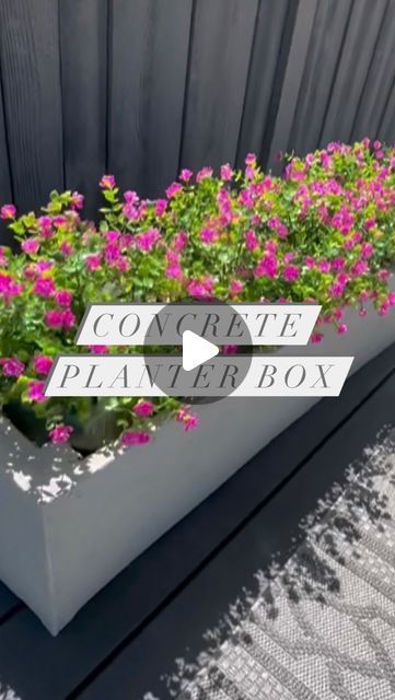 the container planter box has pink flowers in it