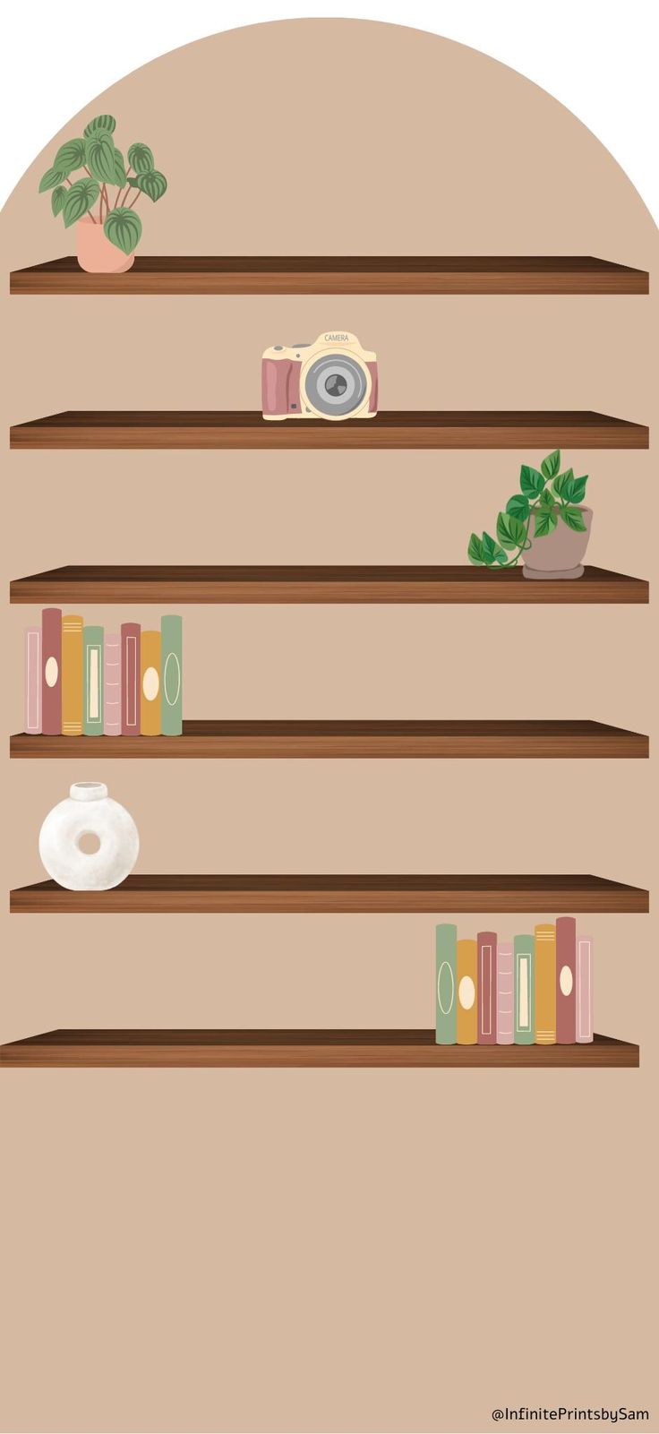 three wooden shelves with books, plants and cameras on them in front of a circular background