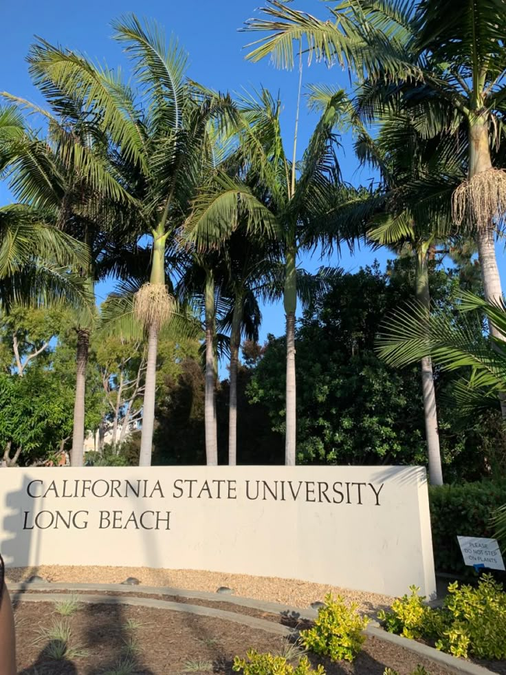 the sign for the california state university long beach campus with palm trees in the background