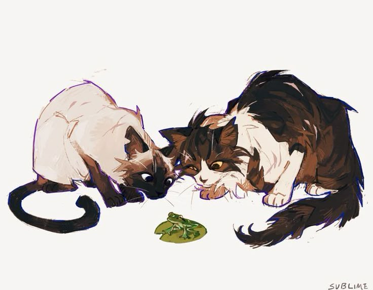 two cats are playing with each other on the floor next to a piece of broccoli