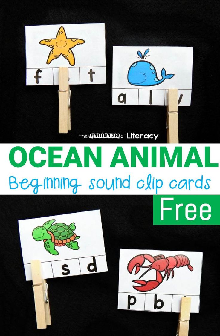 ocean animal beginning sound clip cards with free printables