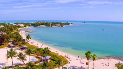 an aerial view of a beach with palm trees and the ocean in the foreground