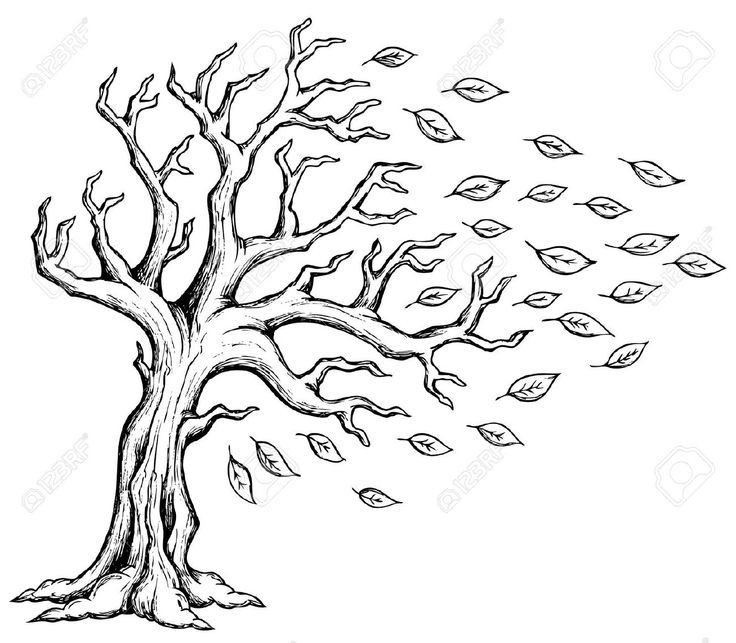 a tree with leaves blowing in the wind stock photo - image 349784