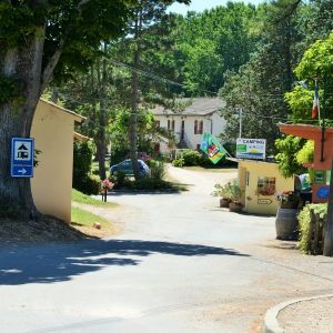 an empty street with houses and trees on both sides, in the middle of town