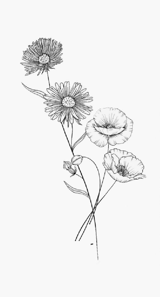 three flowers are shown in black and white on a white background, one is drawn by hand