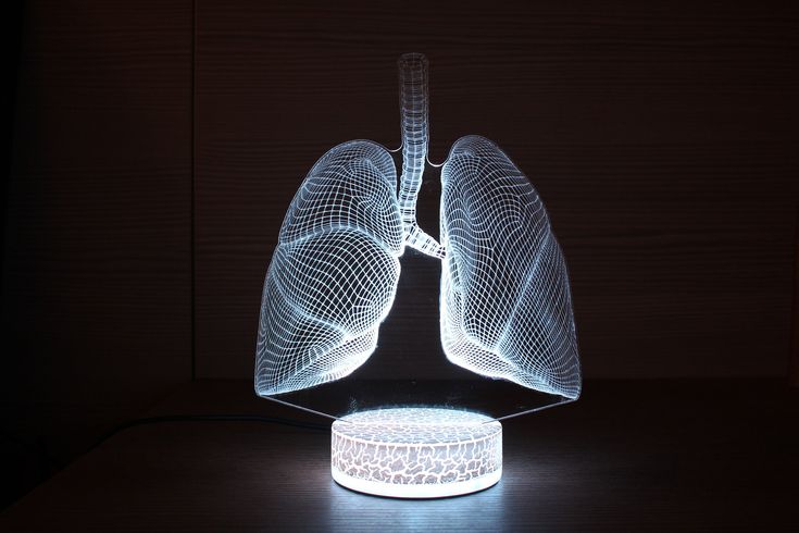 an illuminated model of the lungs on a table