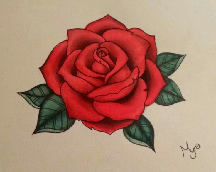 a drawing of a red rose with green leaves