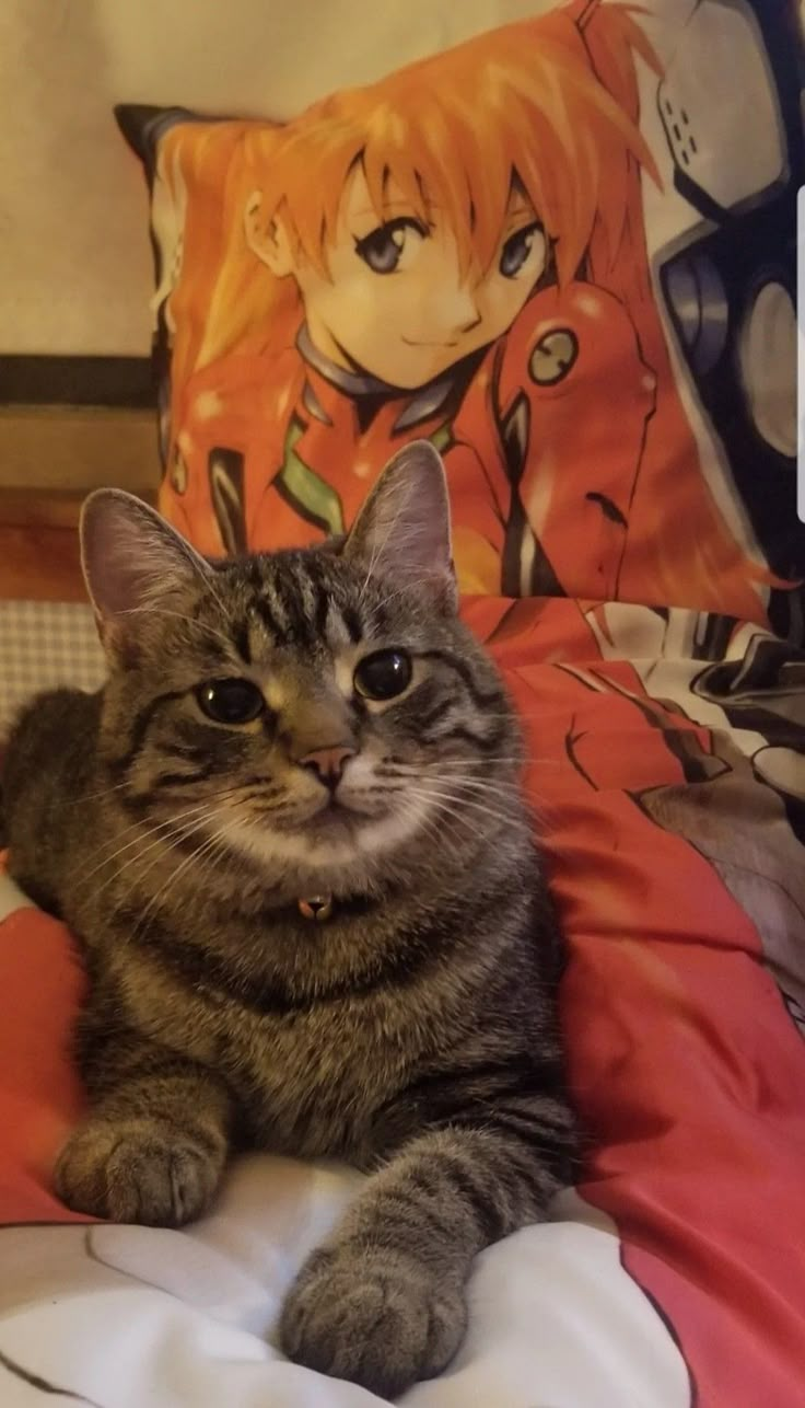 a cat laying on top of a bed next to pillows and pillow cases with anime characters