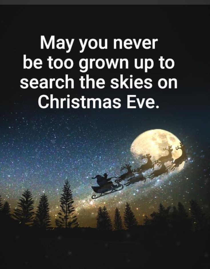 a santa claus sleigh flying through the night sky with trees and stars in the background