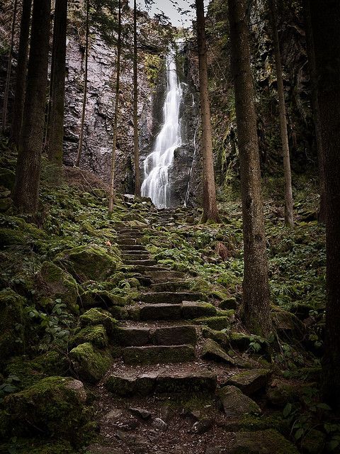 stairs lead up to a waterfall in the woods