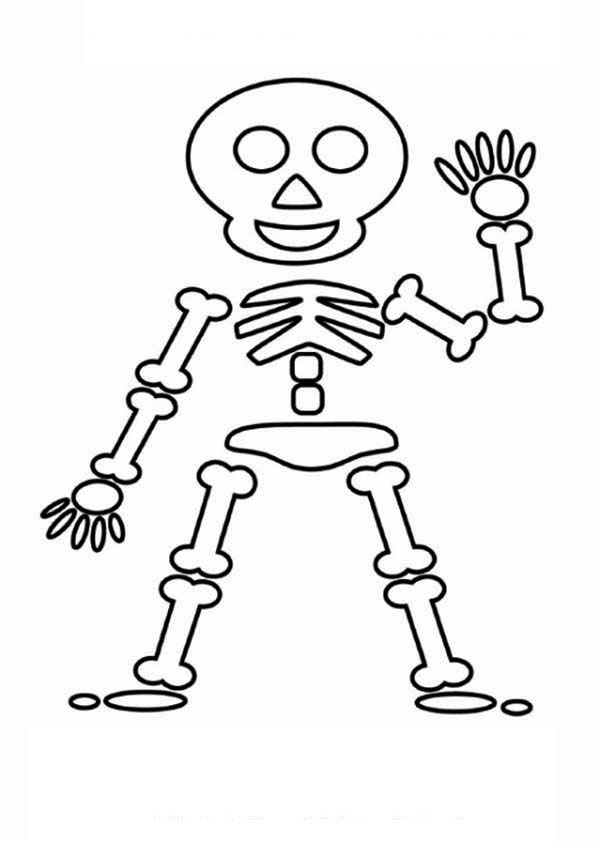 a skeleton with arms and legs in the shape of a human body, outlined on a white background