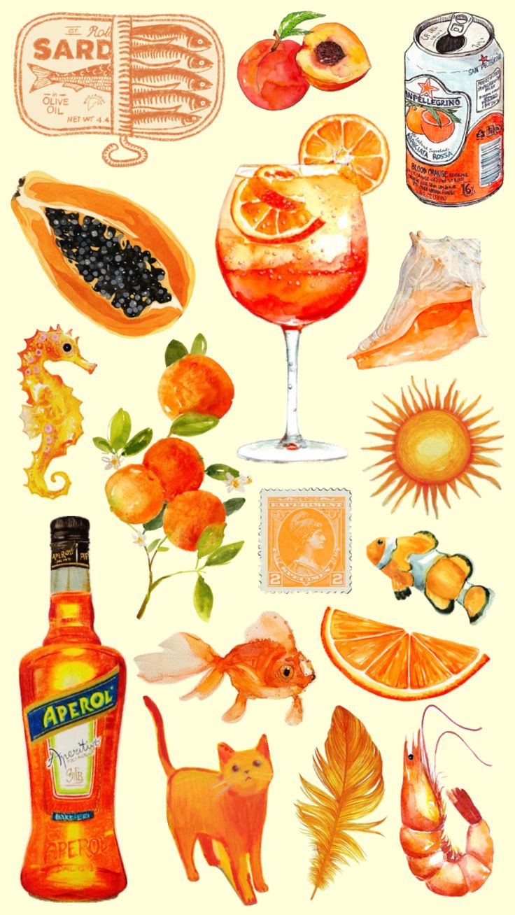 an illustration of oranges and other items on a white background