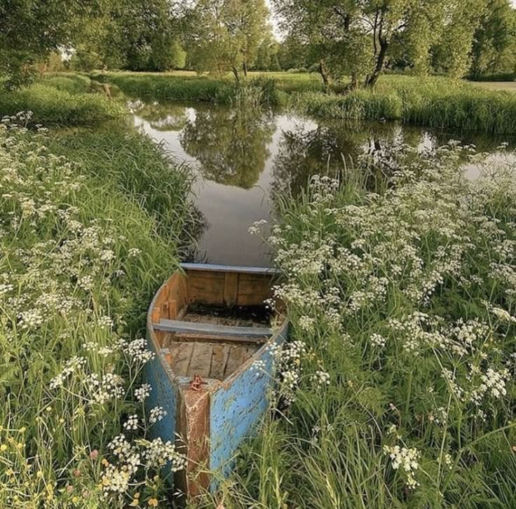 there is a boat that is sitting in the grass by the water and flowers around it