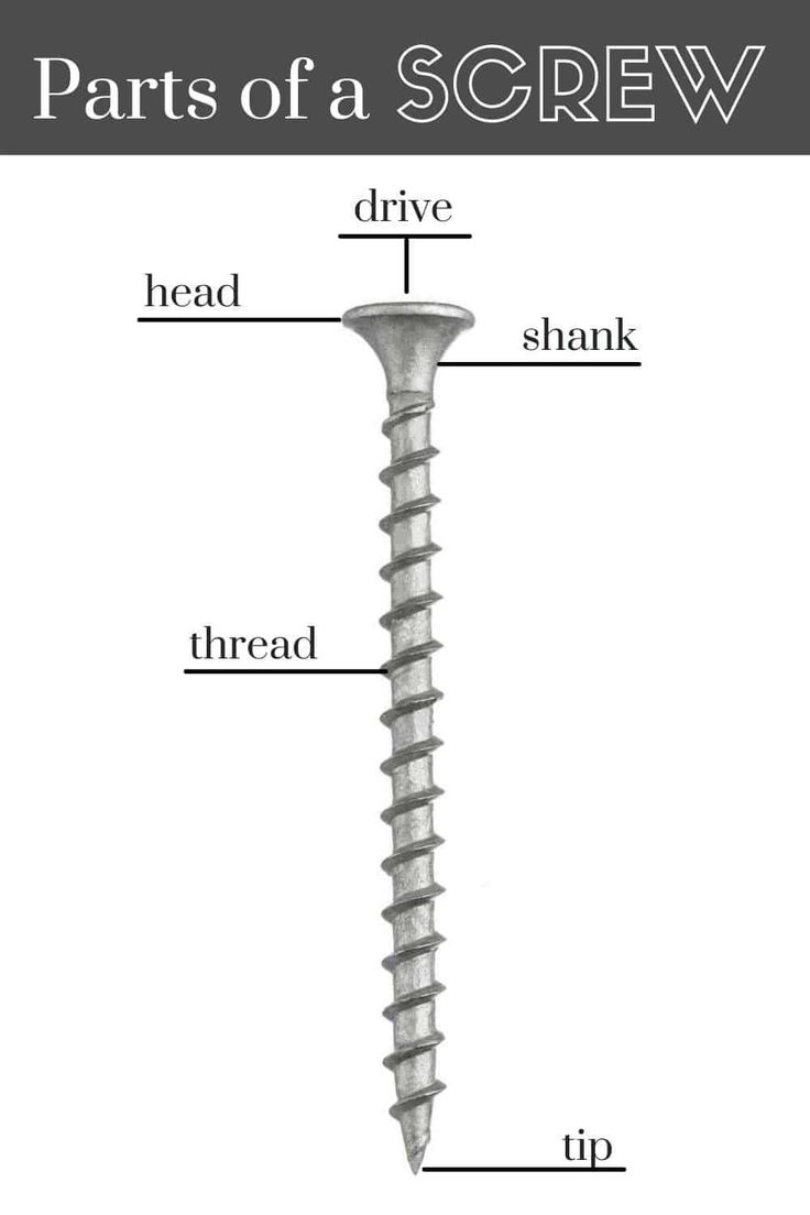 the parts of a screw are labeled