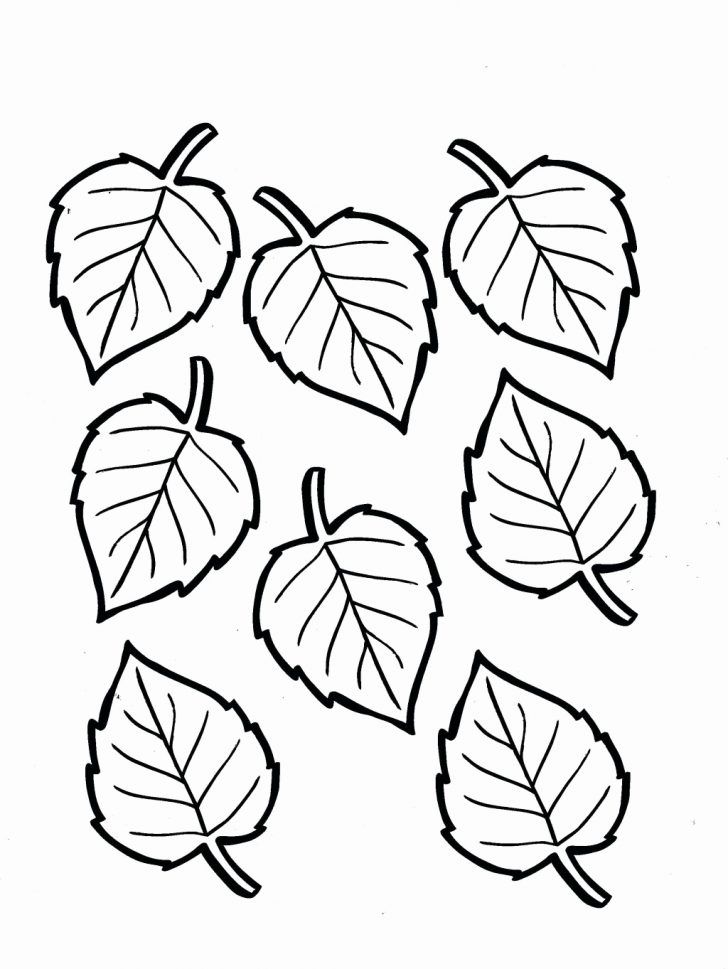 several leaves are arranged in the shape of a heart on a white background with black outline